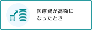 医療費が高額になったとき